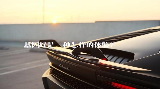 基因好是一种怎样的体验？