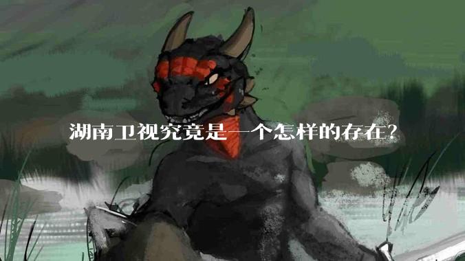 湖南卫视究竟是一个怎样的存在？