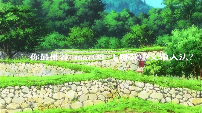 你最推荐 macOS 上哪款中文输入法？