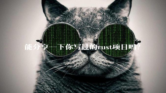 能分享一下你写过的rust项目吗？