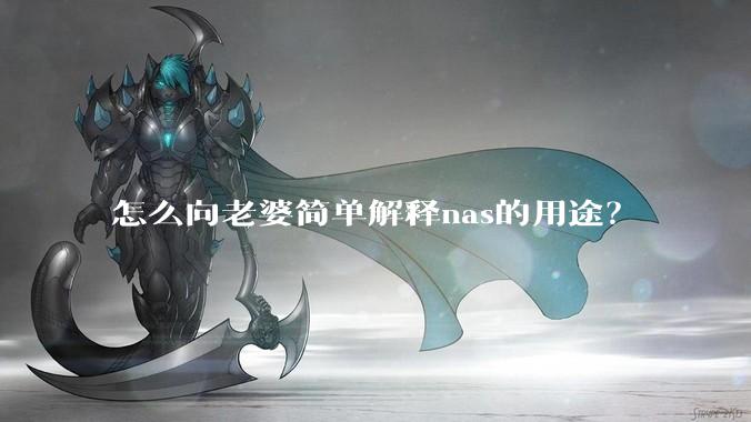 怎么向老婆简单解释nas的用途？