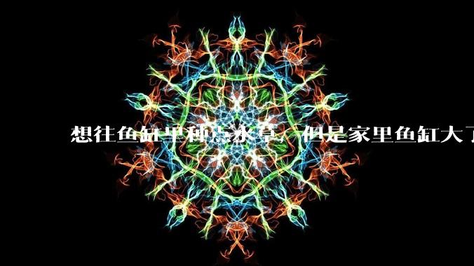 想往鱼缸里种点水草，但是家里鱼缸大了买水草泥或者底砂太贵了，有没有生活中可以替代的物品或其他建议？