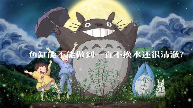 鱼缸能不能做到一直不换水还很清澈？