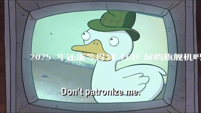 2025 年还能等得到 LCD 屏的旗舰机吗？