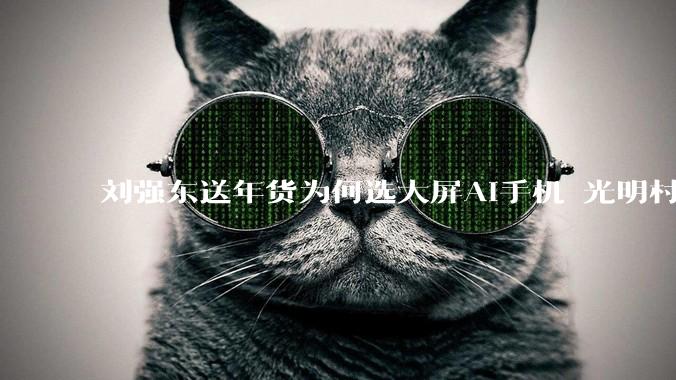 刘强东送年货为何选大屏AI手机 光明村村民揭秘WIKO X70的“隐藏技能”_智能_功能_应用