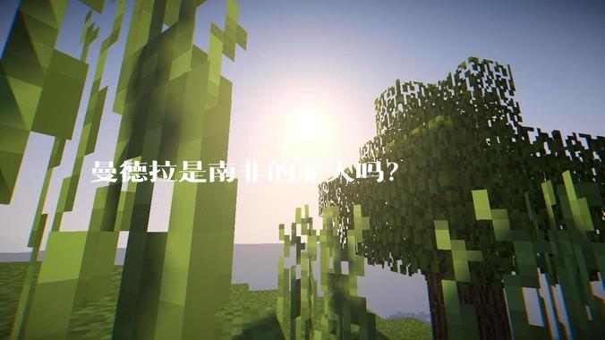 曼德拉是南非的罪人吗？