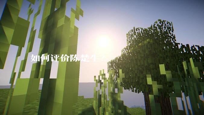 如何评价陈楚生？