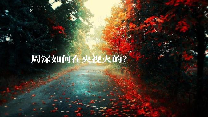 周深如何在央视火的？