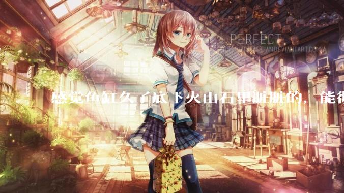 感觉鱼缸久了底下火山石里脏脏的，能彻底换水清理一遍不？