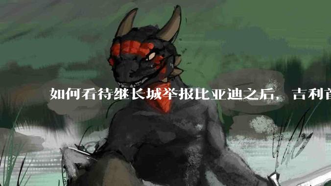 如何看待继长城举报比亚迪之后，吉利首次公开支持长城，广汽也力挺吉利发言，奇瑞说价格战是饮鸩止渴？