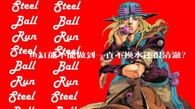 鱼缸能不能做到一直不换水还很清澈？