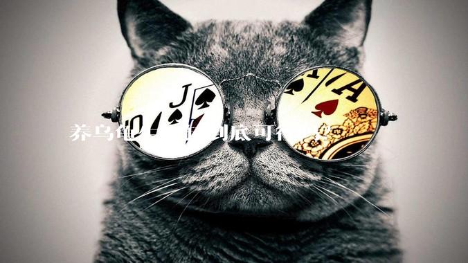 养乌龟生态缸到底可行吗？