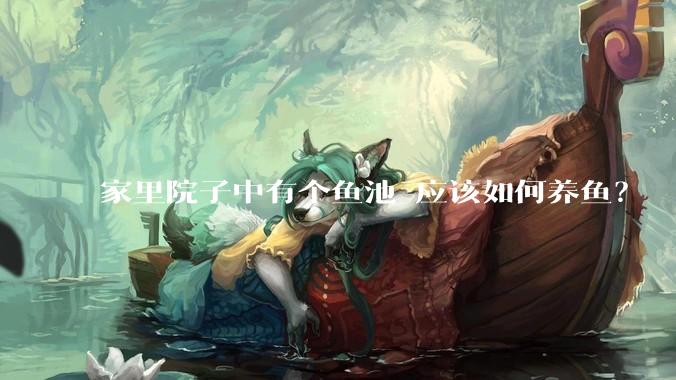 家里院子中有个鱼池 应该如何养鱼？