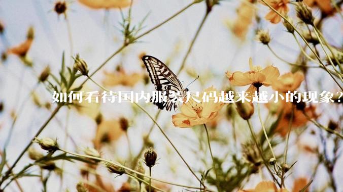 如何看待国内服装尺码越来越小的现象？