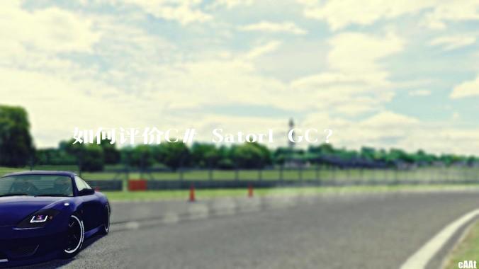 如何评价C# Satori GC?